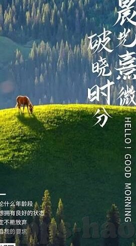 超清无码Av在线播放麻豆-解锁视听新境界——超清无码精彩内容尽在此