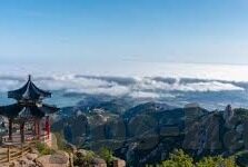 大象回家视频dx导航-科技与自然共舞，大象回家之旅与DX导航的温馨邂逅