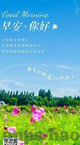 麻豆视频在线网址-麻豆视频，揭秘互联网的另一番天地