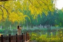 漂亮人妻bd中字-美丽背后的故事，漂亮人妻的温馨日常