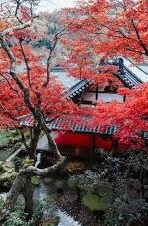 日韩激情av-探索日韩影视文化中的独特魅力，激情与艺术的交融